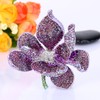 EVER FAITH Broches para Mujer Cristal Austriaco Orquídea Flora Petal