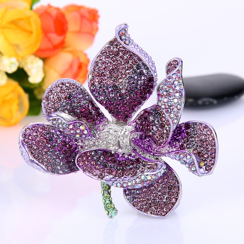 EVER FAITH Broches para Mujer Cristal Austriaco Orquídea Flora Petal