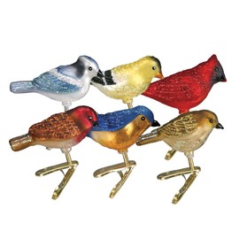 Old World Christmas Clip-on Ornament - Assorted Miniature Songbirds, Set of 6