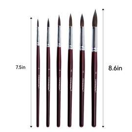 Transon Squirrel Hair Round Paint Brush Set for Watercolor Gouache Ink Acrylic Art Painting Short-Handle