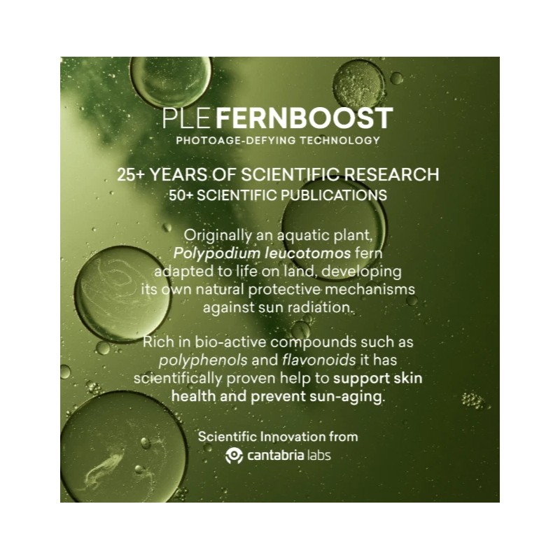 Toty Ilumina CC Creamy Compact Refill Sunscreen SPF 50 Shade