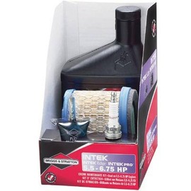 Briggs & Stratton Tune-Up Kit 5.5-6.75 HP Intek, Edge, Pro Engines 5108A