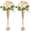 ZEAYEA 2 Pieces Metal Flower Trumpet Vase, 19" H Wedding Centerpieces Vase, Flower Vases for Anniversary Ceremony Party Birthday Event Aisle Home Table Decoration, Gold