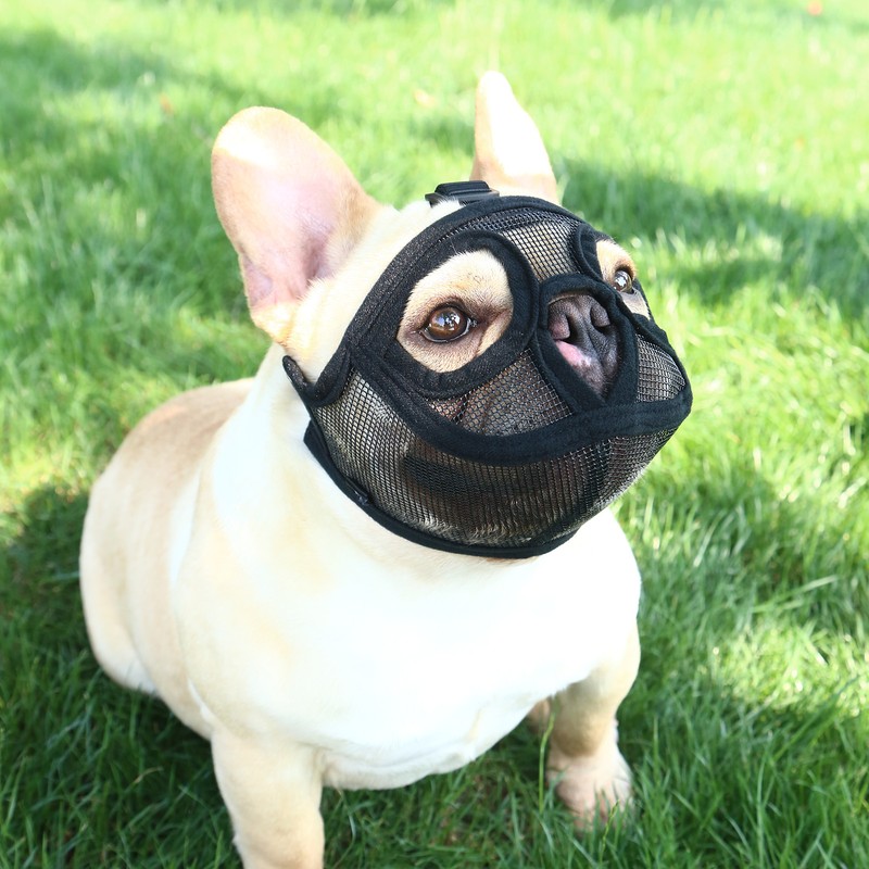 Short Snout Dog Muzzle Bulldog Muzzle Adjustable Breathable Mesh for