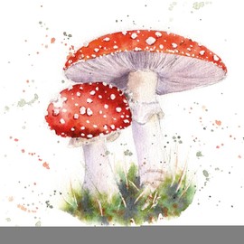 Watercolour Painting Napkin Pack of 20