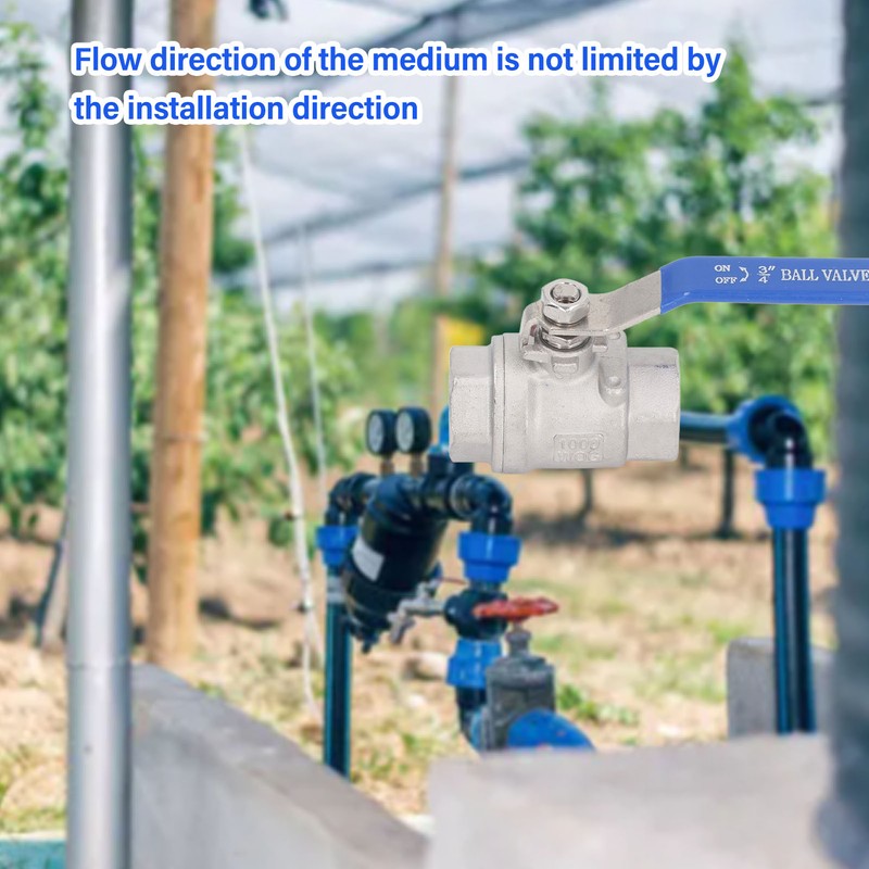 Full Port Ball Valve Stainless Steel Female Thread 3/4in 1000