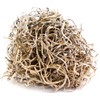 SuperMoss 26934 Spanish Moss Preserved, Appx. 5 lb Bulk Case,