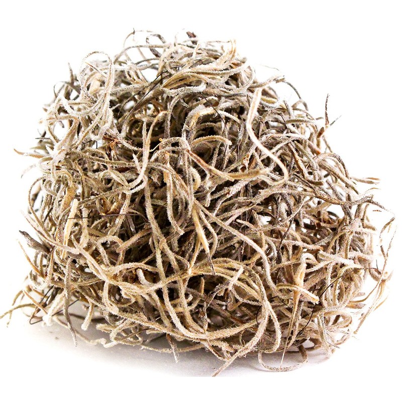 SuperMoss 26934 Spanish Moss Preserved, Appx. 5 lb Bulk Case,