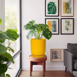 SUNPOTFOR Ceramic Pot for Plants - 10 Inch Plant Pot Indoor with Drainage Hole and Saucer Large Planter for Outdoor Plants Cylinder Decorative Flower Pot Yellow