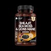 New Leaf Products Shilajit, Sea Moss & Lions Mane Capsules