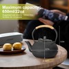 suyika Japanese Tetsubin Cast Iron Teapot Tea Kettle pot with