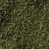 McCormick Organic Dill Weed, 0.5 oz