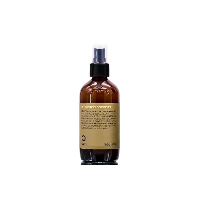 Moisturising no-rinse conditioner 160 ml