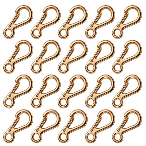 Auvotuis 20Pcs Mini Carabiner Clip, Tiny Spring Snap Hook Keychains,