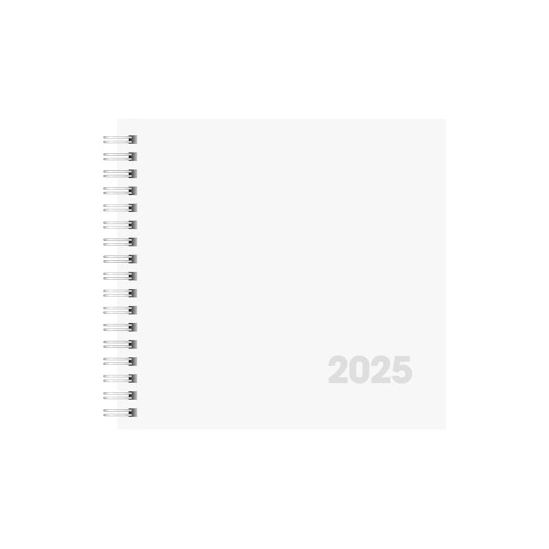 BRUNNEN Book Calendar Model 762 (2025), 2 Pages = 1