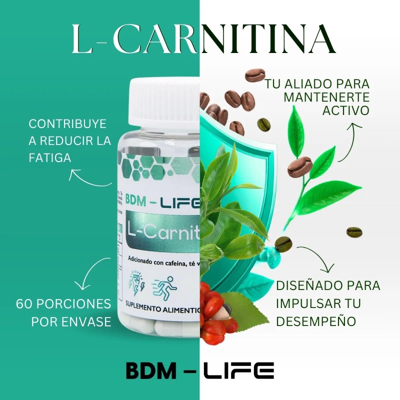 BDM-LIFE L-Carnitina Cpsulas con Cafena T Verde Guaran Sin Sabor