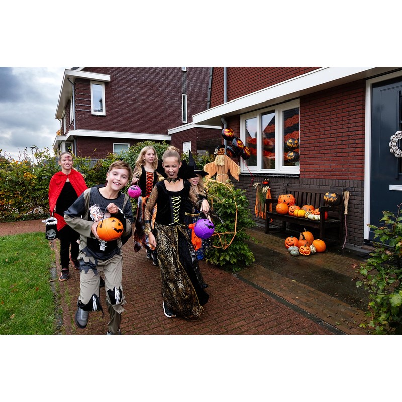 Boland Children’s Spiderella Costume, 140