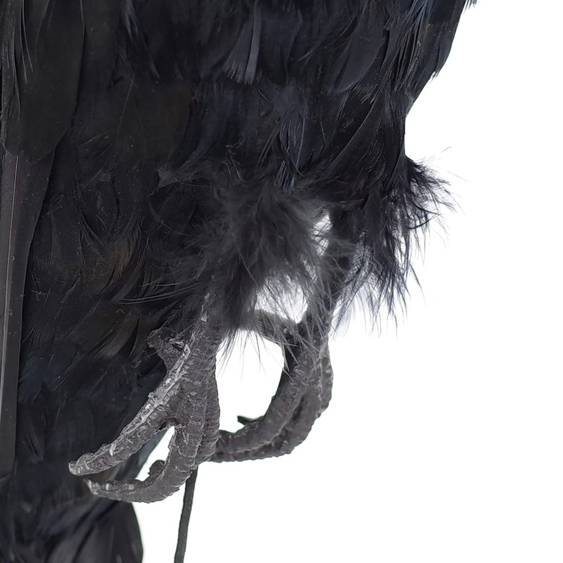 Etistta 17 inch Realistic Hanging Dead Crows Decoy Lifesize Extra