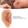 Silicone Ear Model Simulated Ear Model Acupuncture Practice Tool with