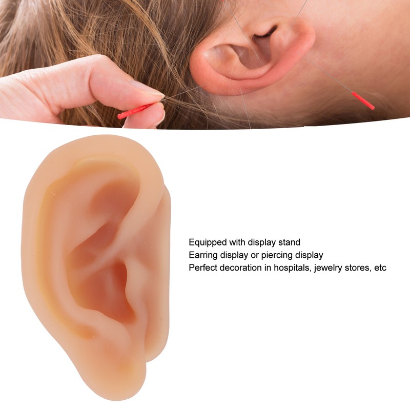 Silicone Ear Model Simulated Ear Model Acupuncture Practice Tool with