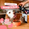 Omega 3 6 9 B Life Cápsula 500ml