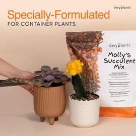 Molly's Succulent Mix - Premium Gritty Soilless Potting Mix for Succulents, Cactus and Bonsai - Contains Akadama, Hyuga, Bark Fines, Pumice, Lava Rock, Mycorrhizae 5.5 Liters