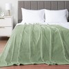 PAVILIA Soft Fleece Light Green Throw Blanket for Couch, Lightweight
