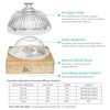 Glass Dome Essential Oil Diffuser with Glass Reservoir & Wood
