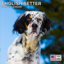 2025 English Setter Calendar - Dog Breed Wall Calendar - 12 x 24 Open - Thick No-Bleed Paper - 14 Month Planner Calendar Organizing & Planning