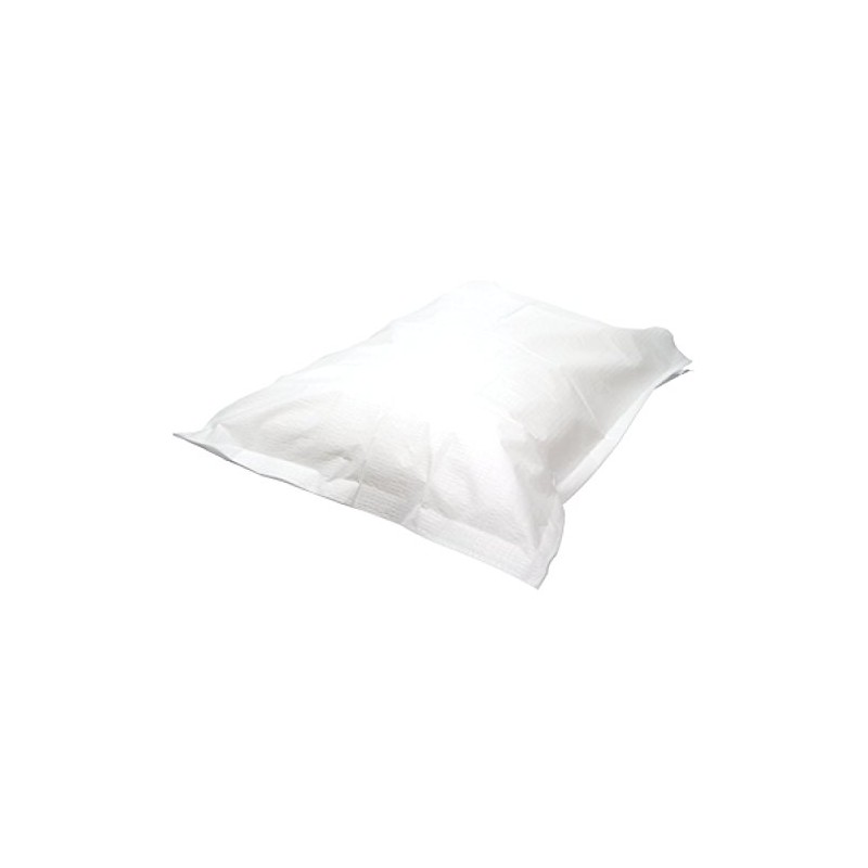 Pro Advantage Disposable Pillowcase - Tissue/Poly - 21\x 30 100/Cs