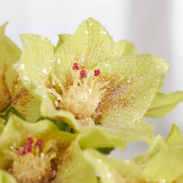 Factory Direct Craft Green Artificial Shimmering Hellebores Christmas Rose 15-1/2"