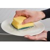 Spontex Salvaunghie X3 sanding sponge