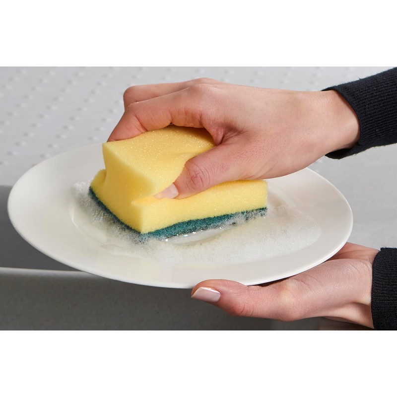 Spontex Salvaunghie X3 sanding sponge
