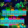 GOODTAKE Acrylic Glow in The Dark Paint, 12 Bright Colours