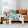 kzrfojy Dog Surgery Recovery Suit Dog Surgical Onesie for Female