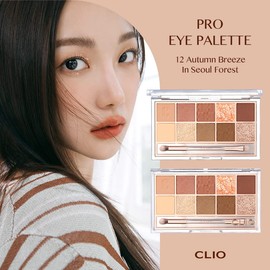 CLIO Pro Eye Palette #12 Auttum Breeze in Seoul Forest