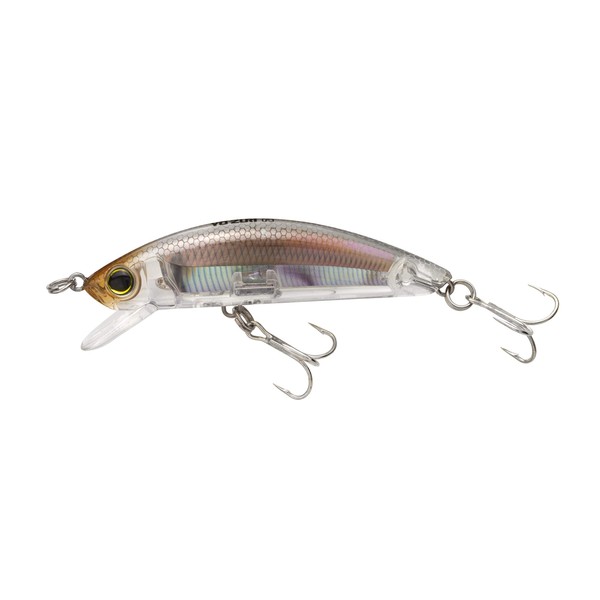 YO-ZURI R1212-RGLM-Real Glass Minnow Floating 3D Inshore Minnow (F) 3.5