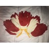 BBH New 5 Pair BBH Gardening Gloves Latex Foam Coating