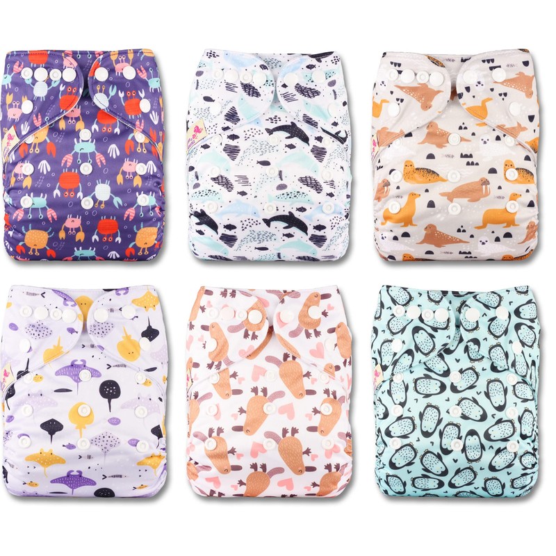 Littles & Bloomz 6 Reusable Pocket Cloth Nappies (Popper), P0601