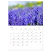 Lavender - The purple miracle flower (Monthly Wall Calendar 2025