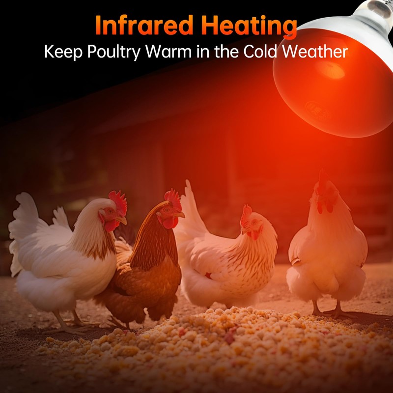 LUCKY HERP Heat Lamp for Chickens, 250 Watt Red Heat
