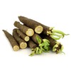 NIKA SEEDS - Vegetable Salsify Black Root - 100 Seeds