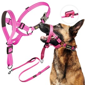 Zevey Adjustable Dog Head Halter with Leash and Safety Strap, Comfortable Padded Dog Head Collar for Small Medium Large Dogs, Pink
