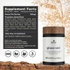 Akshar Ayurveda Gluco Support 60 Cápsulas