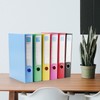 HAKZEON 6 Pack Assorted Colour A4 Box Files, 55mm Spine