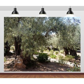 Loccor 7x5ft Fabric Ancient Olive Trees Backdrop Mount of Olives Garden Old Olive Trees in Jerusalem Background Christian Holy Place Wall Decor Israel Party Decorations Photo Props