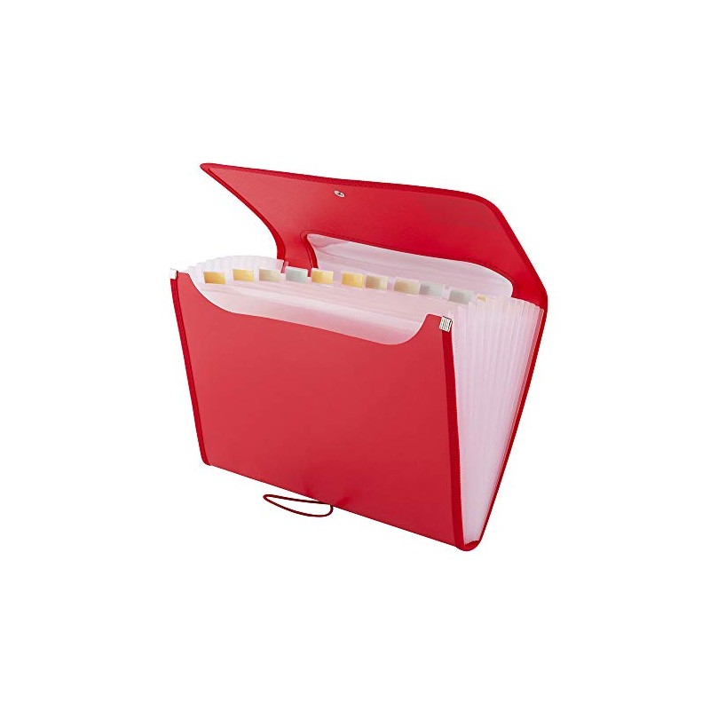 D.RECT 5590 - A4 12-Pocket Expandable Folder | Expandable Binder