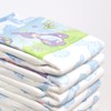 ABUniverse DinoRawrZ Diapers (Medium)