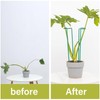 GOOOXIM Set of 10 Indoor Plant Support 12“- Durable U-Shape