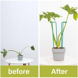 GOOOXIM Set of 10 Indoor Plant Support 12“- Durable U-Shape Iron Supports